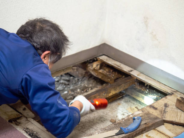 Best Bathroom Mold Remediation in Grover, WY