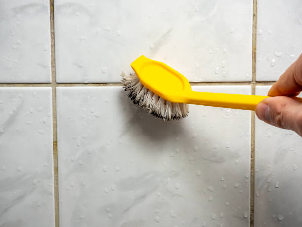  Grover, WY Mold Removal Pros