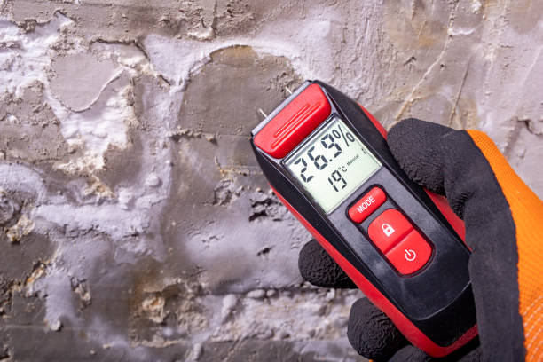  Grover, WY Mold Removal Pros