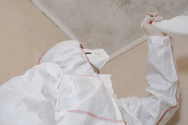 Grover, WY Mold Remediation Company
