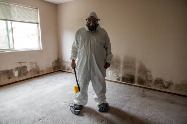 Best Health and Safety Mold Remediation in Grover, WY